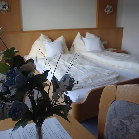 Leit'n Franz Guest house Ramsau am Dachstein