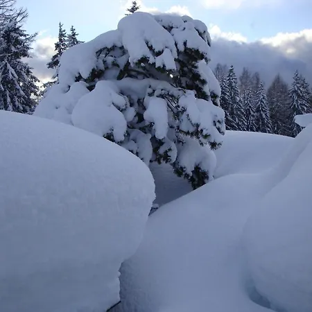 Leit'n Franz Ramsau am Dachstein